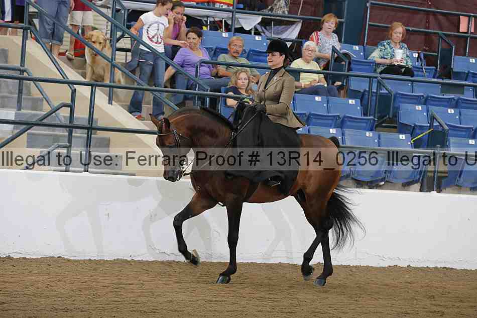 Proof Number 13r14_0256