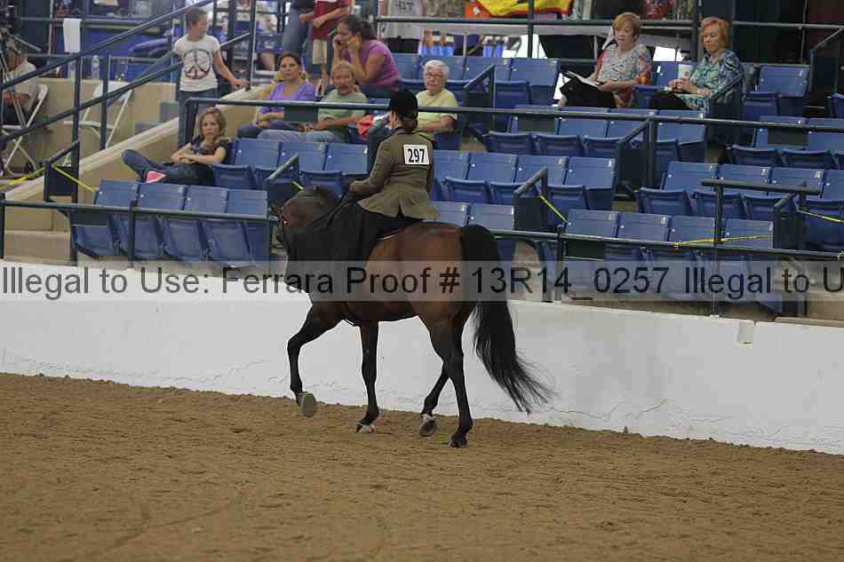 Proof Number 13r14_0257