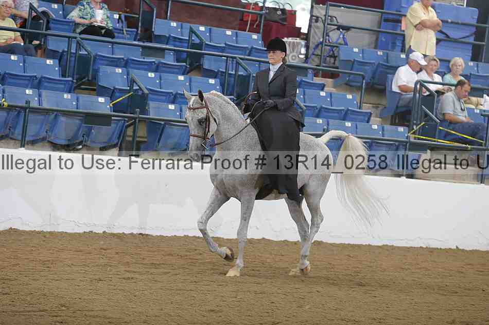 Proof Number 13r14_0258