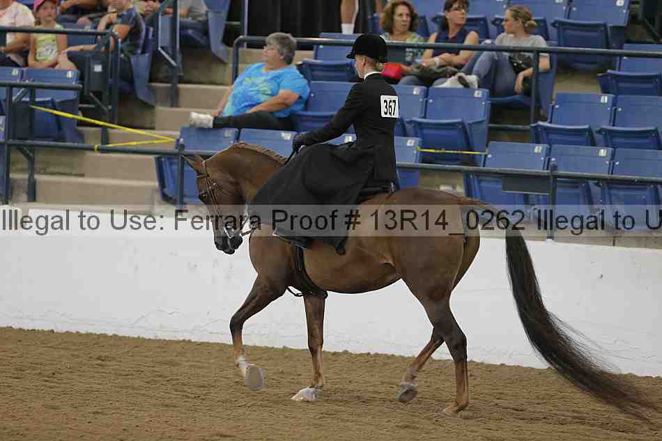 Proof Number 13r14_0262