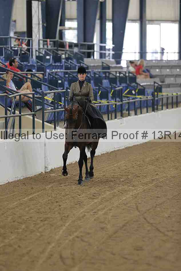 Proof Number 13r14_0264