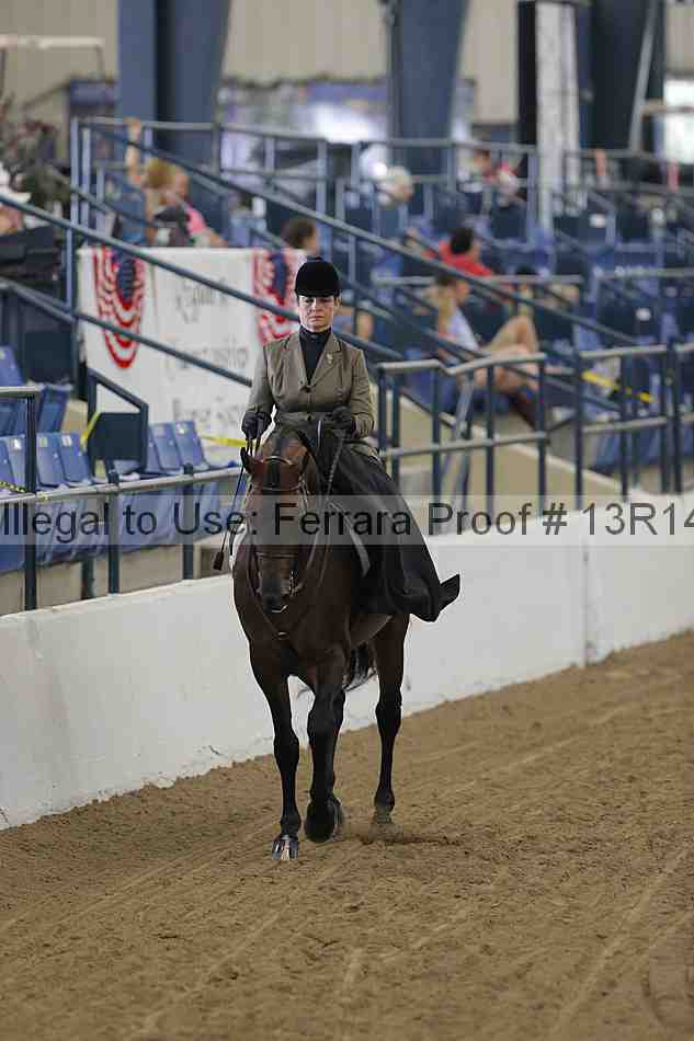 Proof Number 13r14_0265
