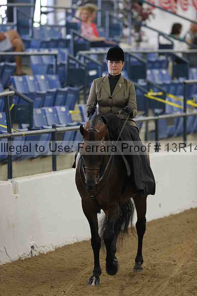 Proof Number 13r14_0266