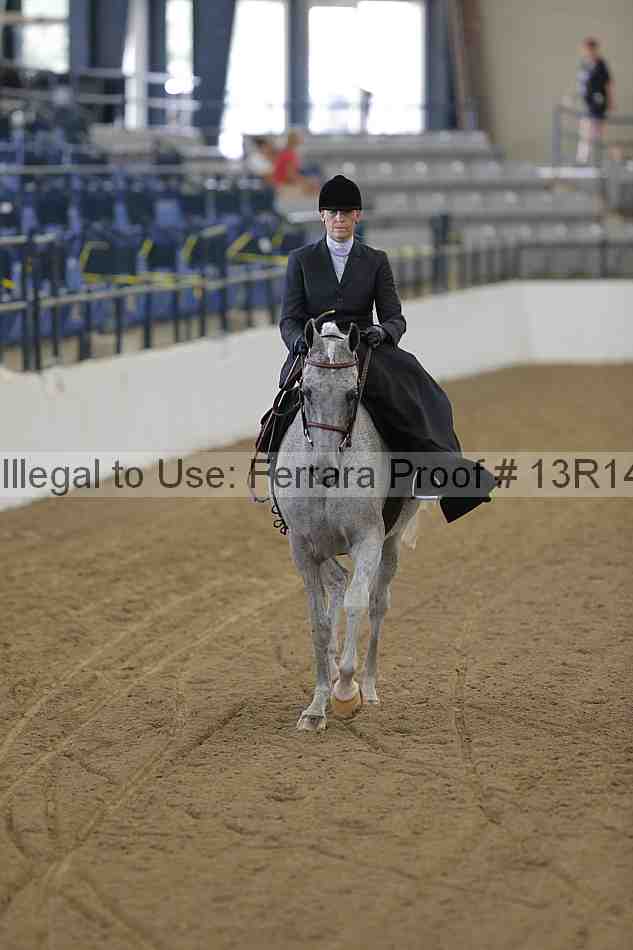 Proof Number 13r14_0267