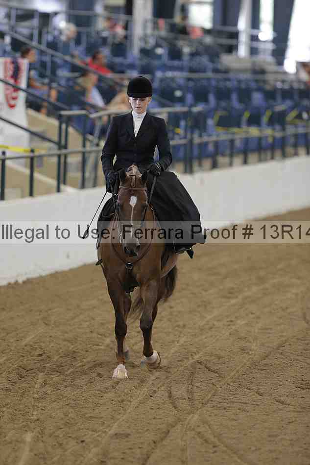 Proof Number 13r14_0269