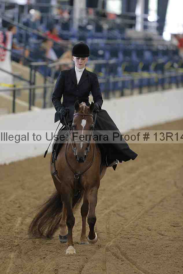 Proof Number 13r14_0270