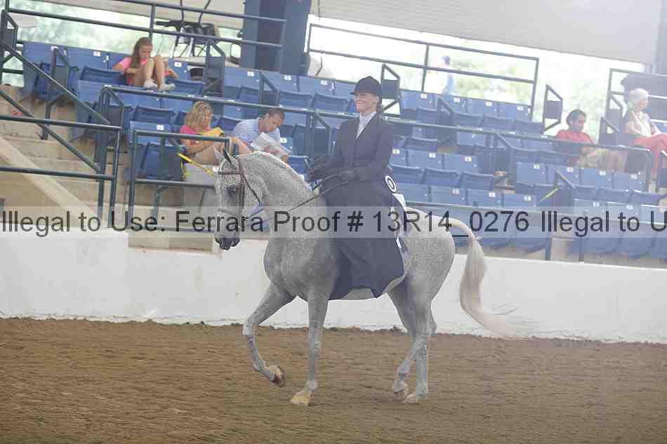 Proof Number 13r14_0276
