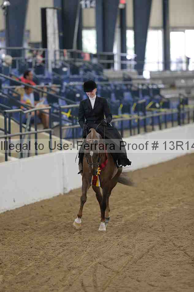 Proof Number 13r14_0282