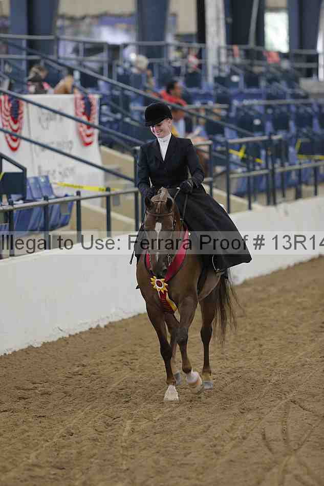 Proof Number 13r14_0283