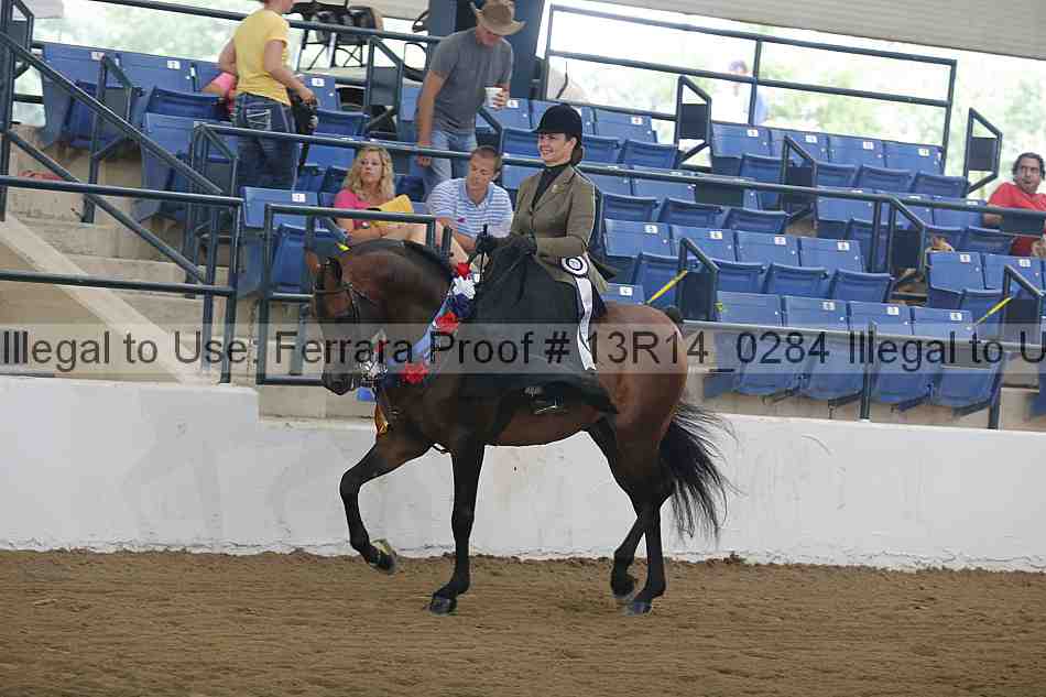 Proof Number 13r14_0284