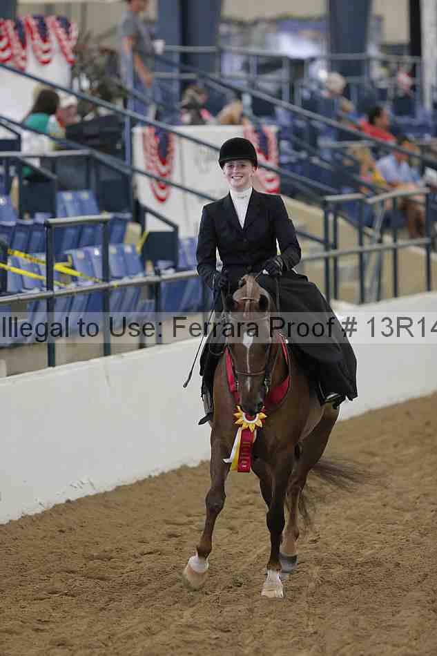 Proof Number 13r14_0285