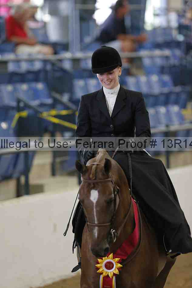 Proof Number 13r14_0287