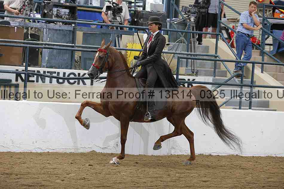 Proof Number 13r14_0325