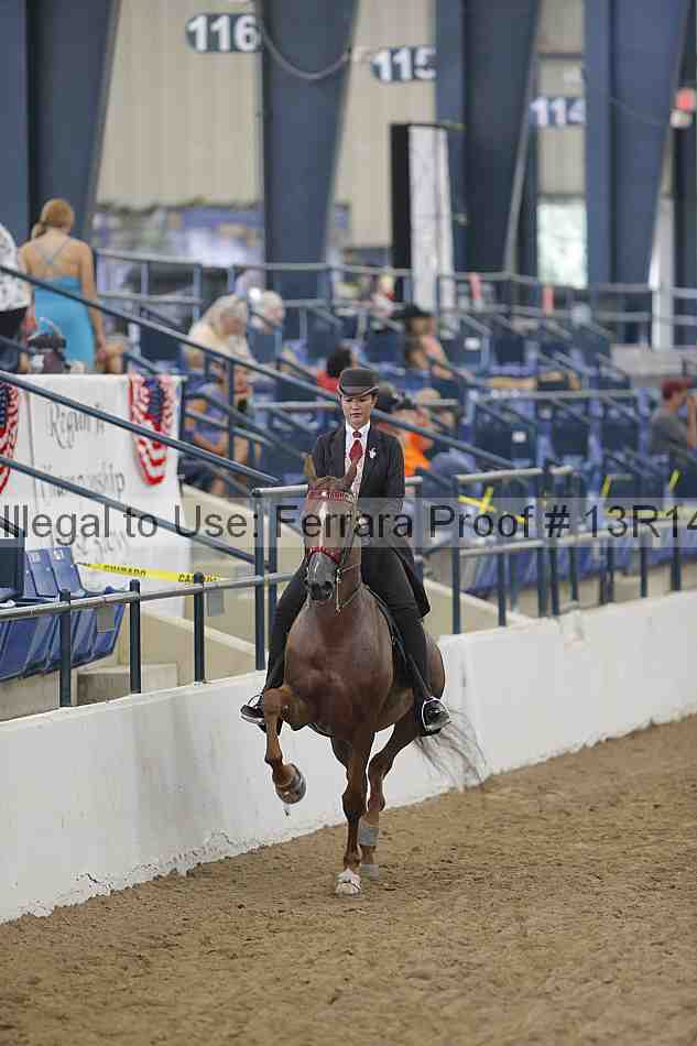 Proof Number 13r14_0336