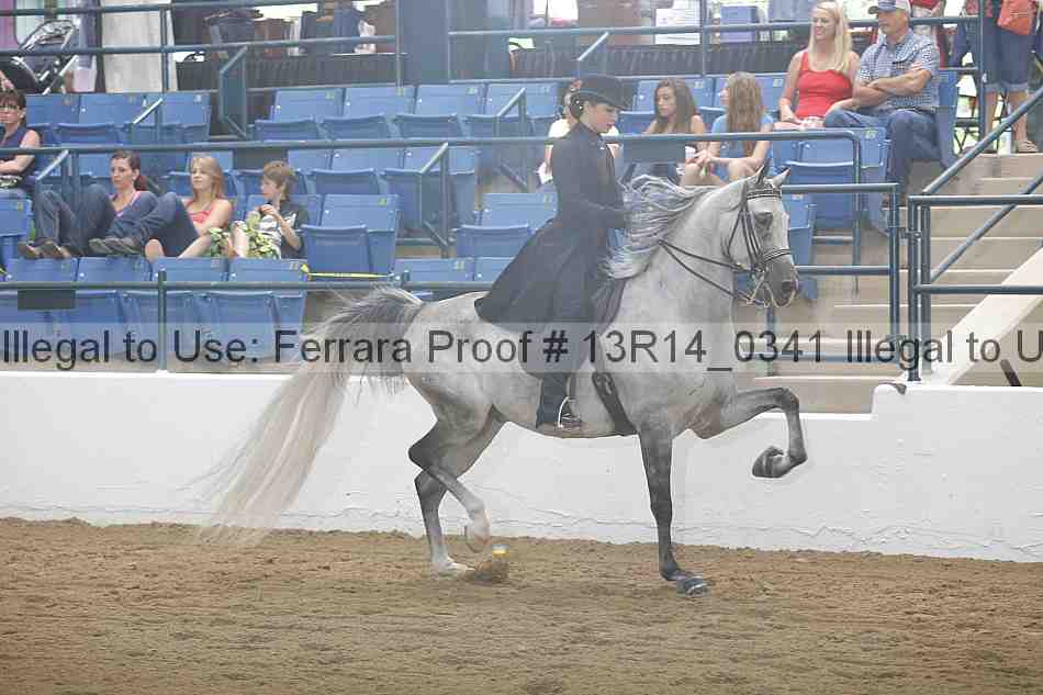 Proof Number 13r14_0341