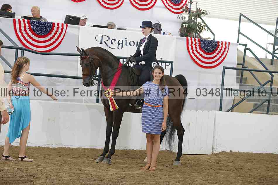 Proof Number 13r14_0348