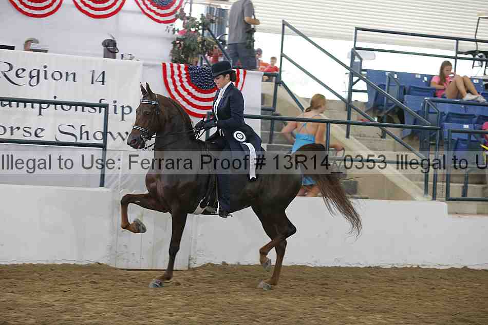 Proof Number 13r14_0353