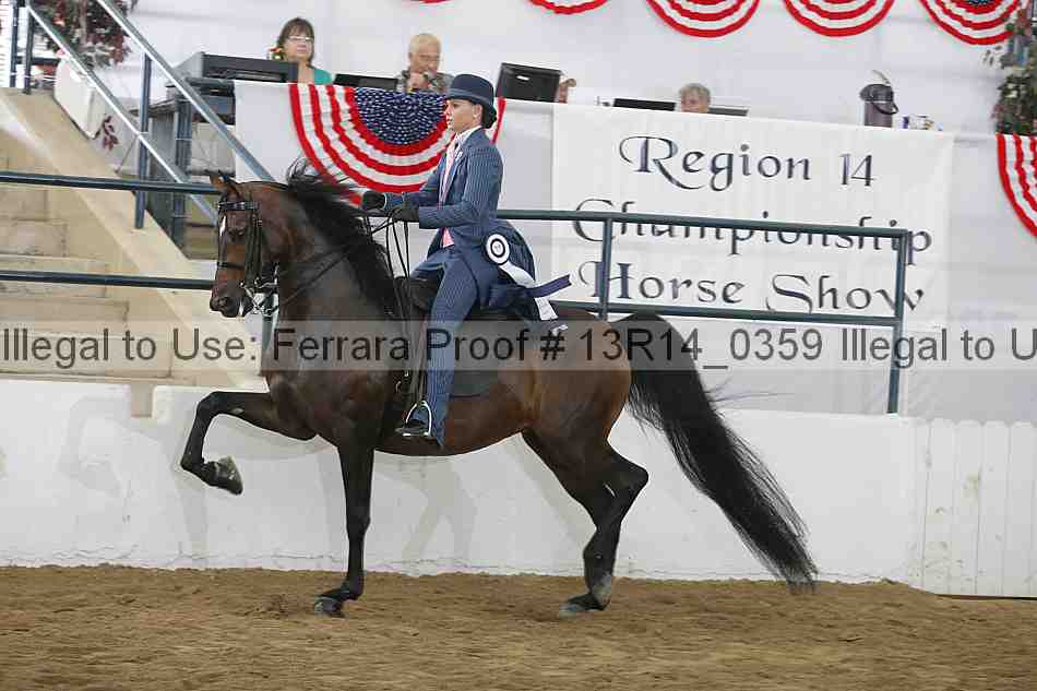 Proof Number 13r14_0359