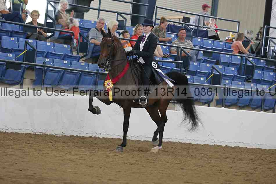 Proof Number 13r14_0361