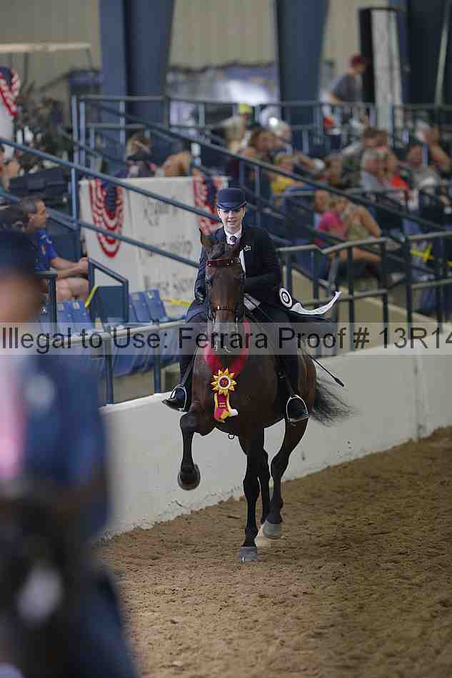 Proof Number 13r14_0363