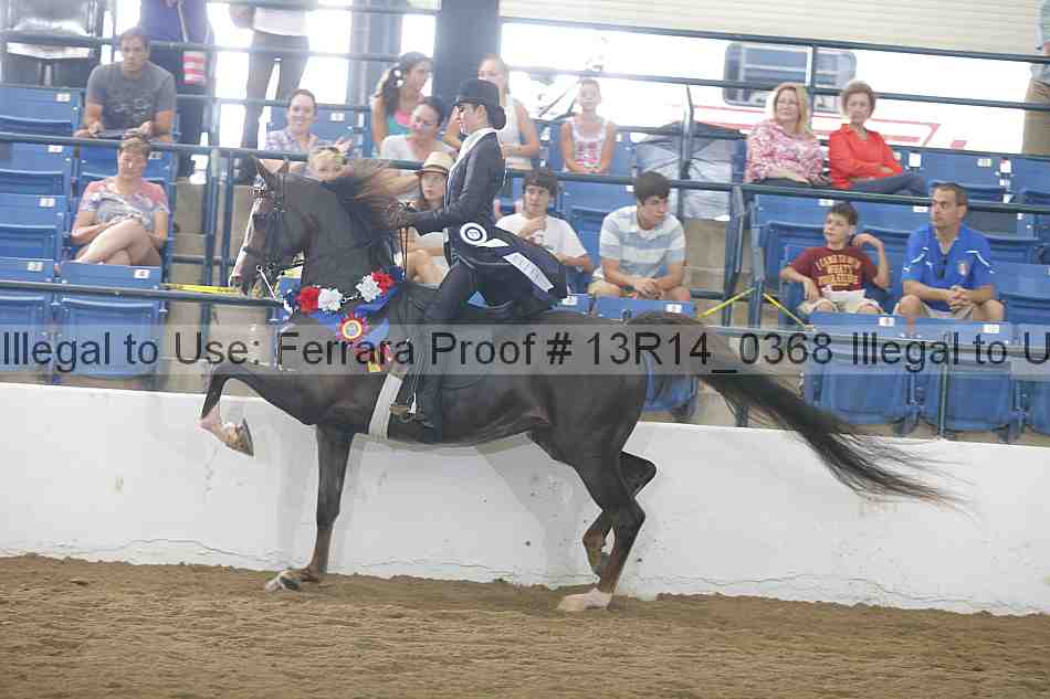Proof Number 13r14_0368