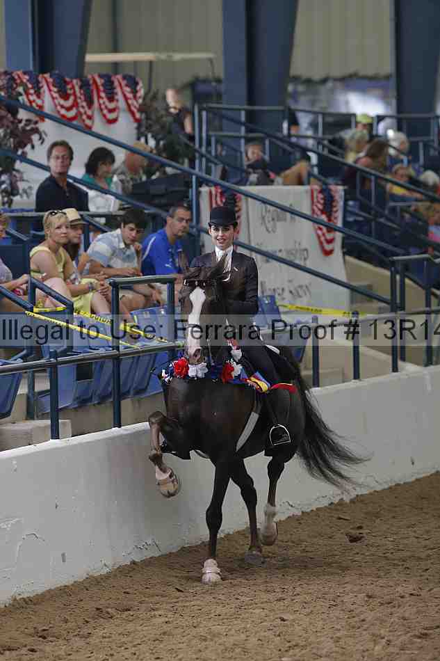 Proof Number 13r14_0369