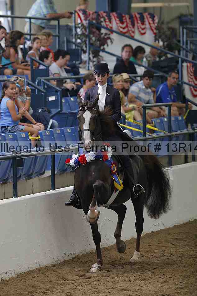 Proof Number 13r14_0370