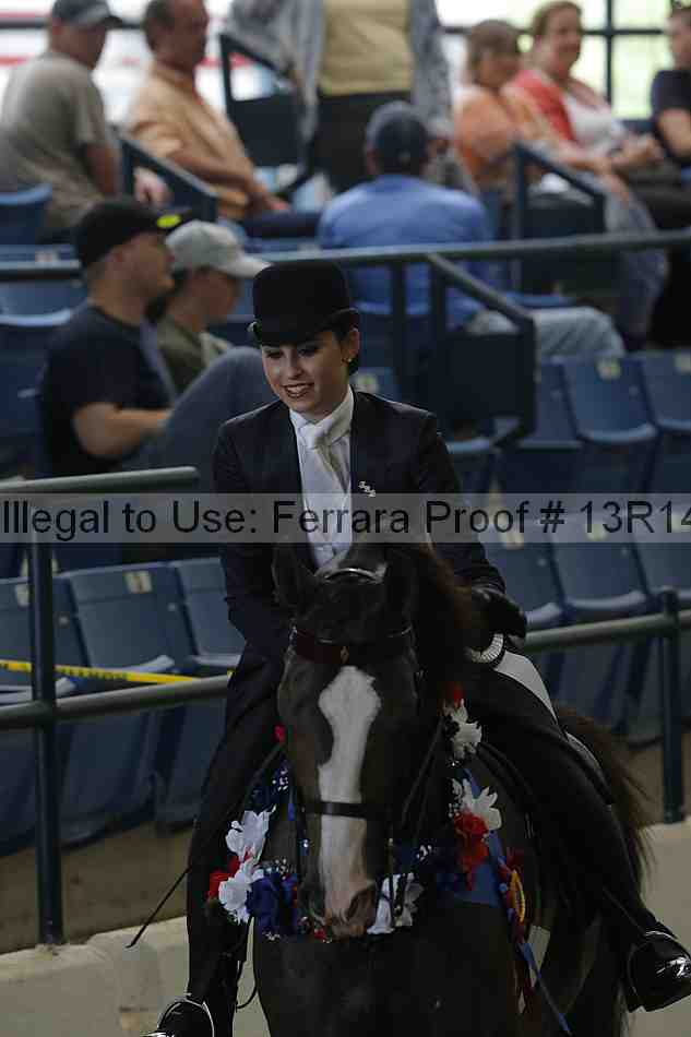 Proof Number 13r14_0371