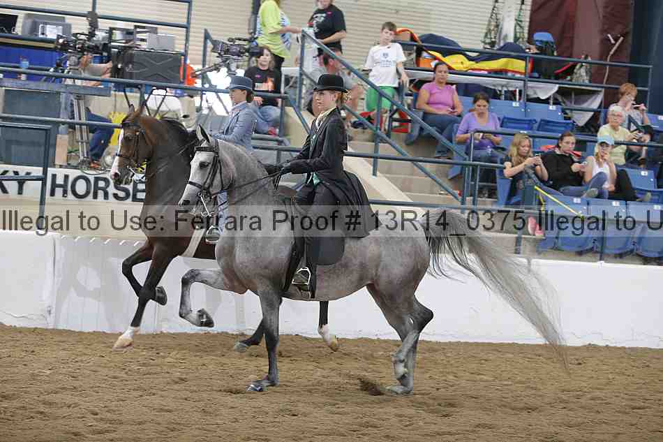 Proof Number 13r14_0375
