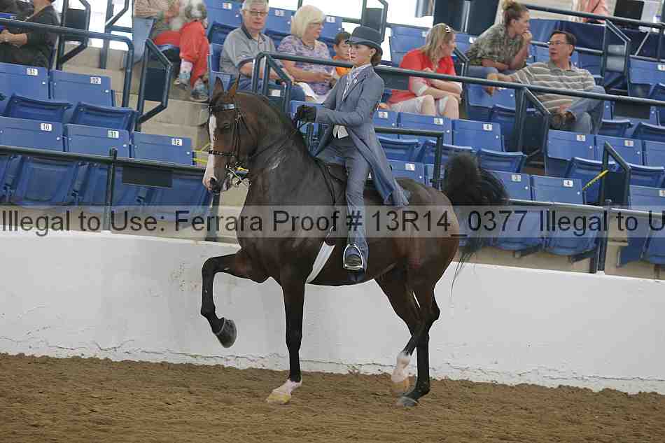 Proof Number 13r14_0377