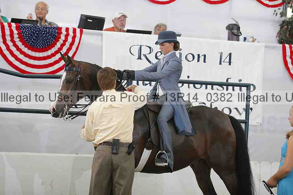Proof Number 13r14_0382