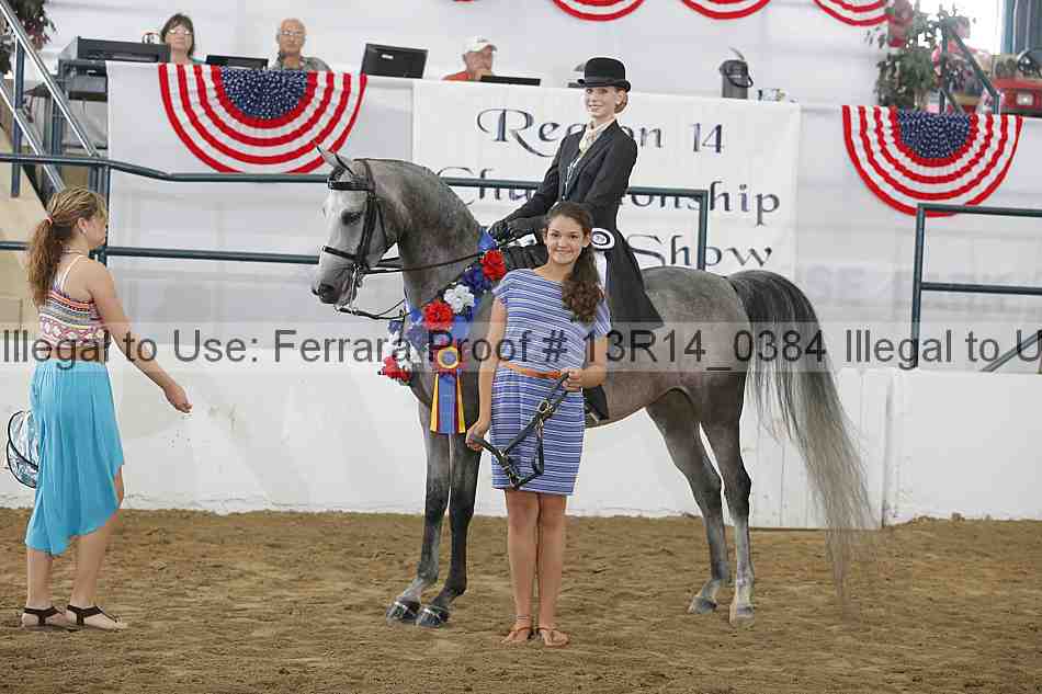 Proof Number 13r14_0384