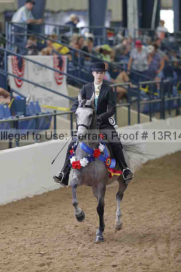 Proof Number 13r14_0386