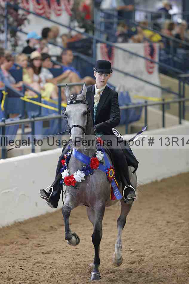 Proof Number 13r14_0388