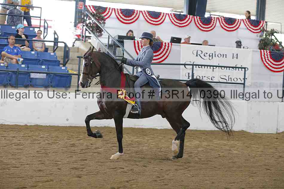 Proof Number 13r14_0390