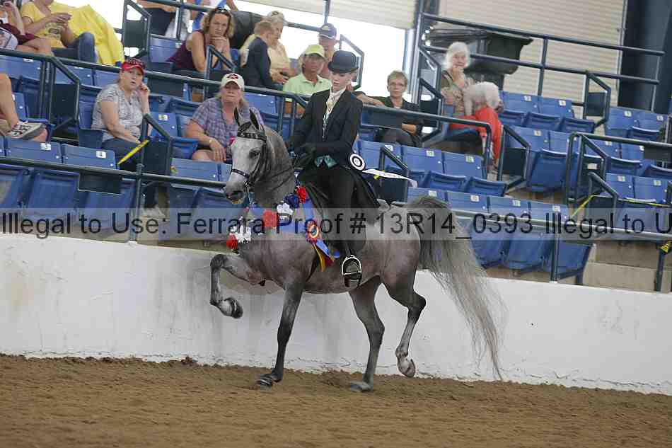 Proof Number 13r14_0393