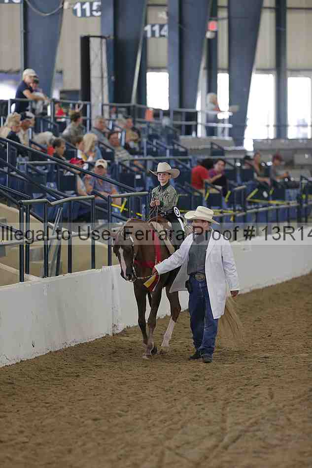Proof Number 13r14_0431