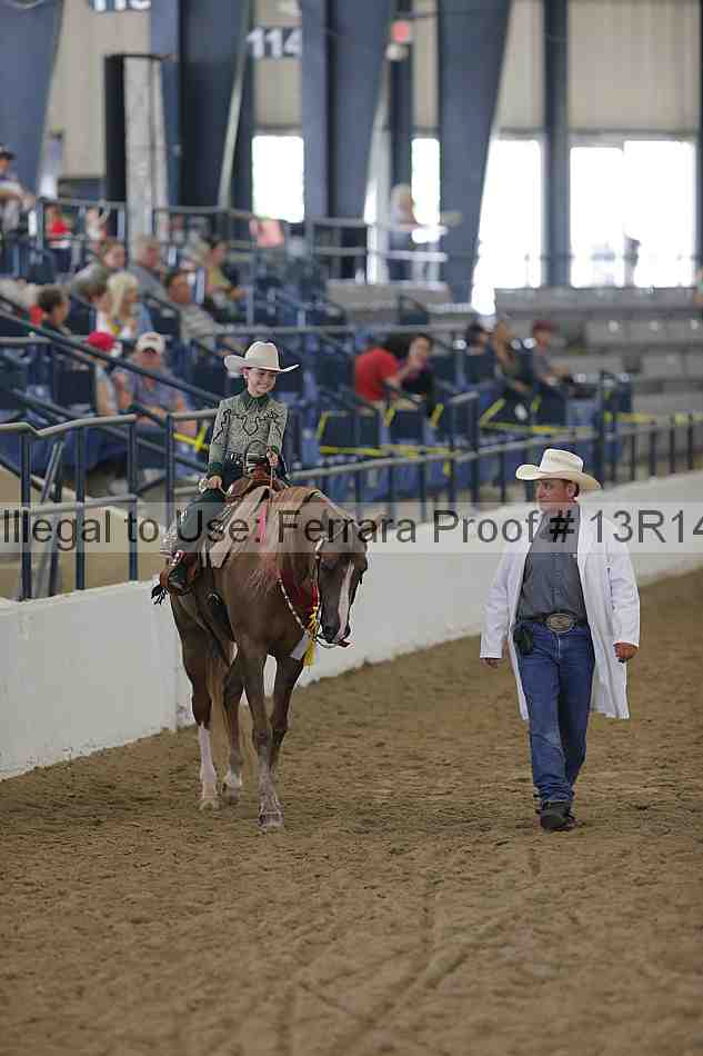 Proof Number 13r14_0432