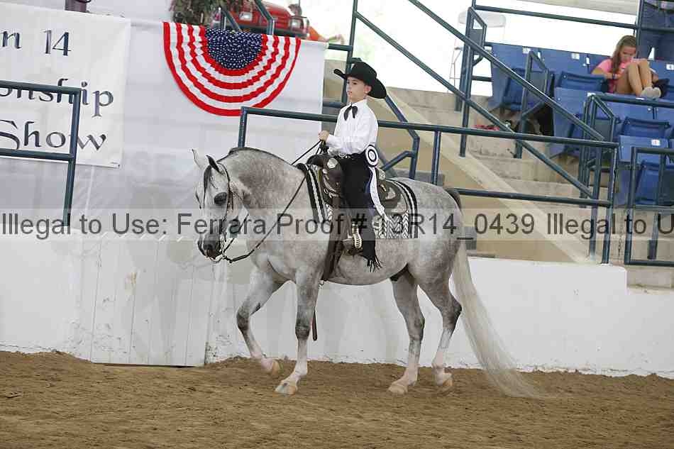 Proof Number 13r14_0439