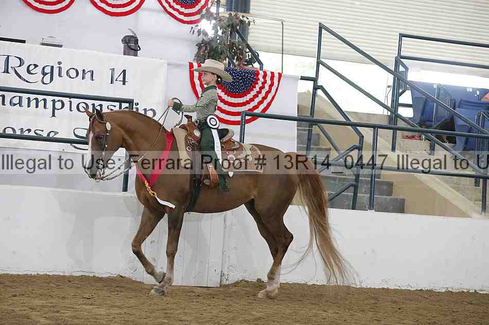 Proof Number 13r14_0447
