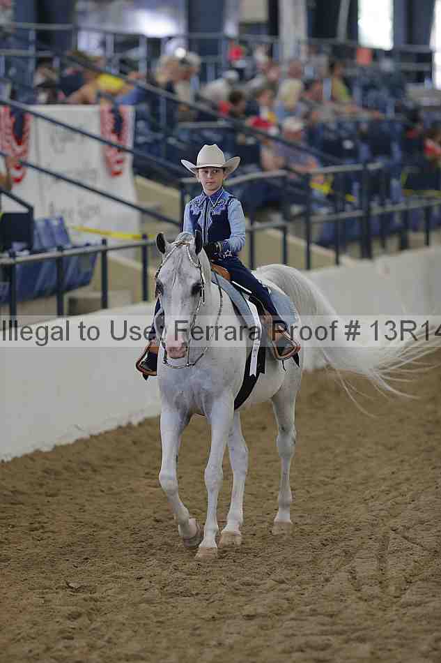 Proof Number 13r14_0449