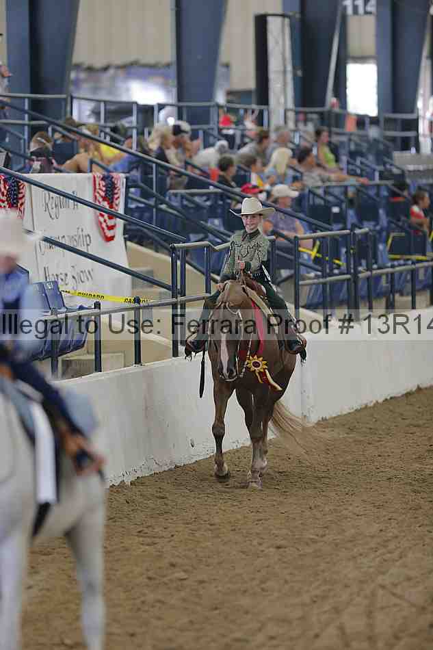 Proof Number 13r14_0450
