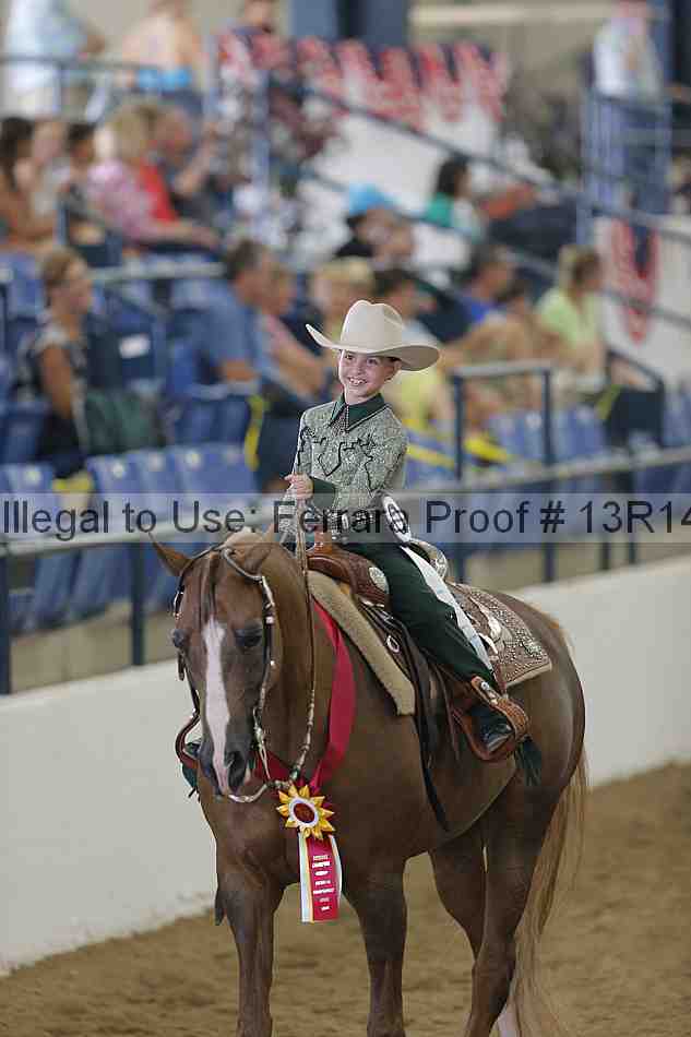 Proof Number 13r14_0453