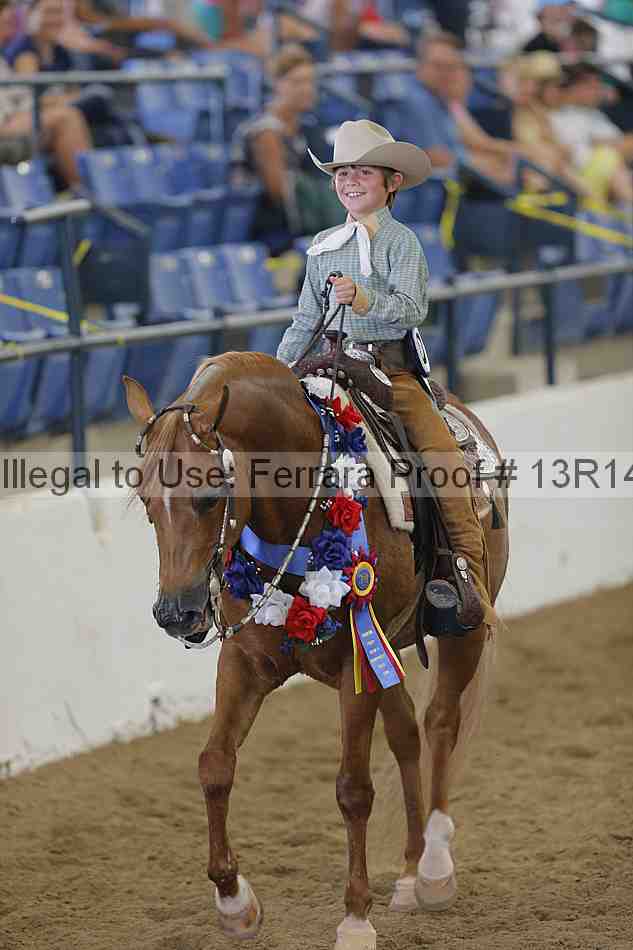 Proof Number 13r14_0457