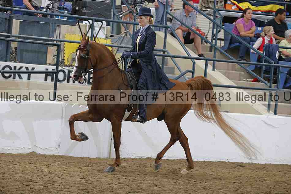 Proof Number 13r14_0483