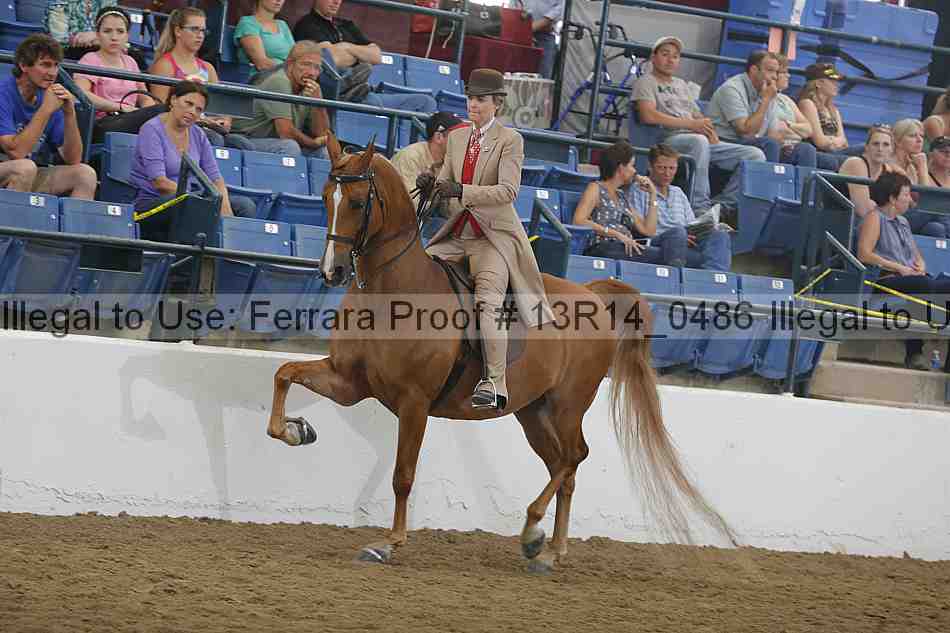 Proof Number 13r14_0486