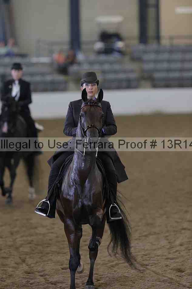 Proof Number 13r14_0490