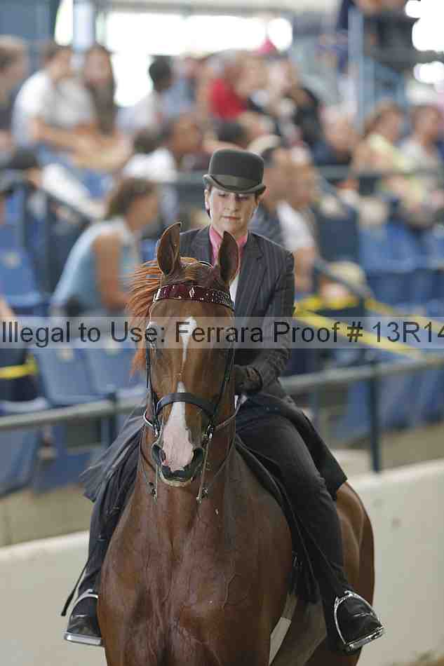 Proof Number 13r14_0492