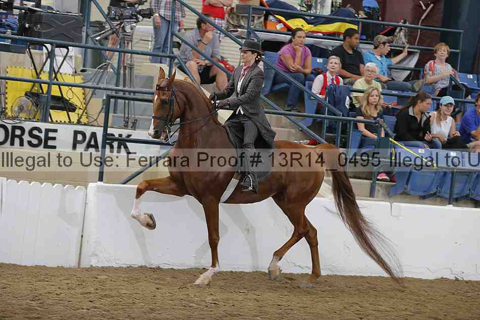 Proof Number 13r14_0495