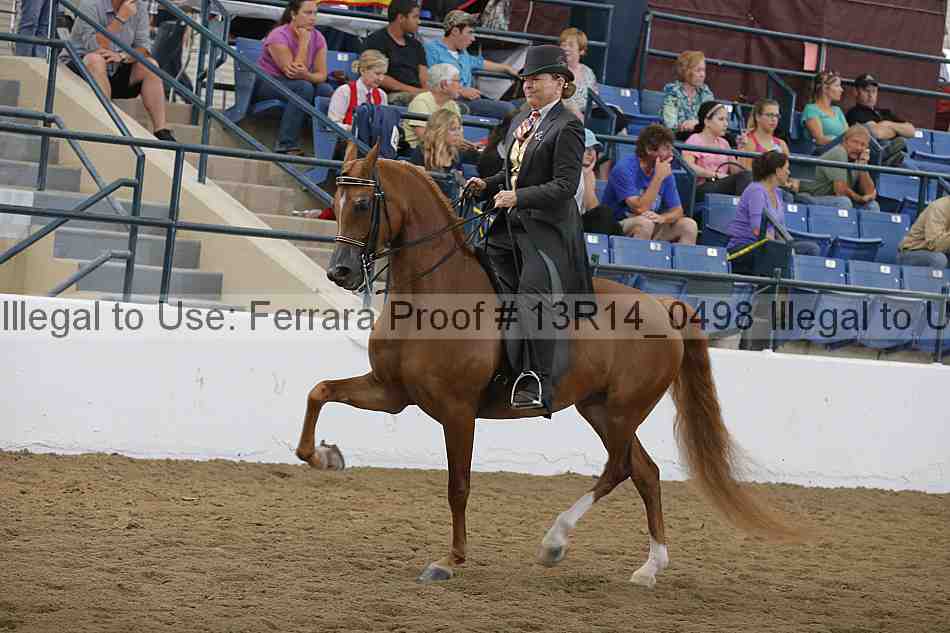 Proof Number 13r14_0498